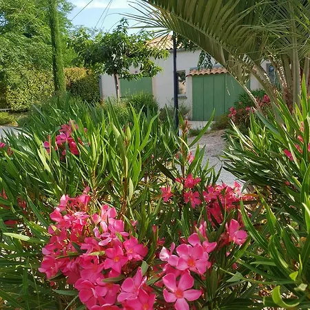 Villas Mitoyennes Le Mas Des Cigales 빌라