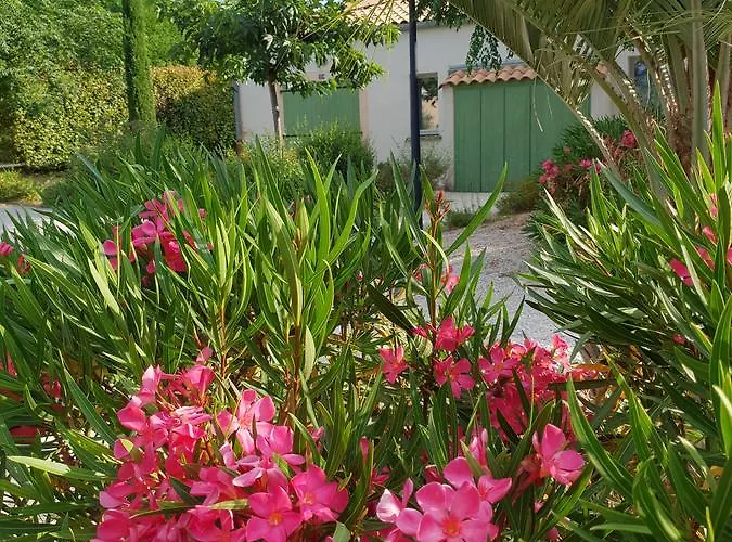 Villas Mitoyennes Le Mas Des Cigales Willa